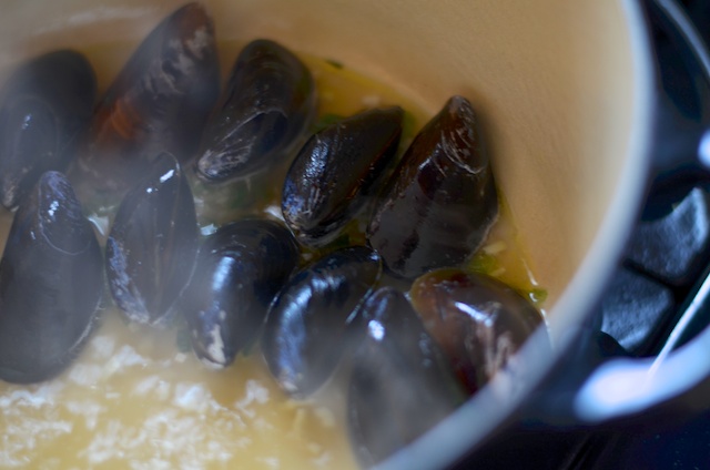 steaming mussels steamed-mussels-recipe