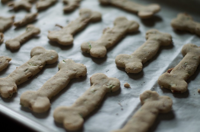 baked dog biscuits treats