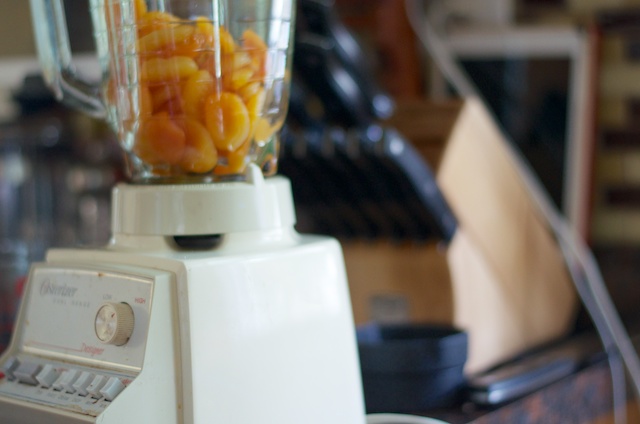 apricots in a blender