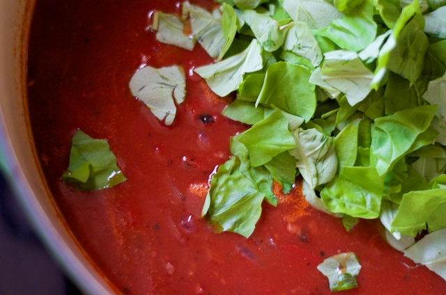 Tomato Soup Recipe