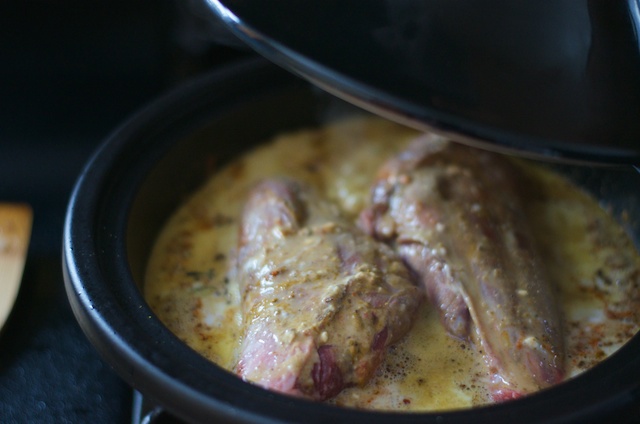Cocoa Curry Lamb Shank Recipe