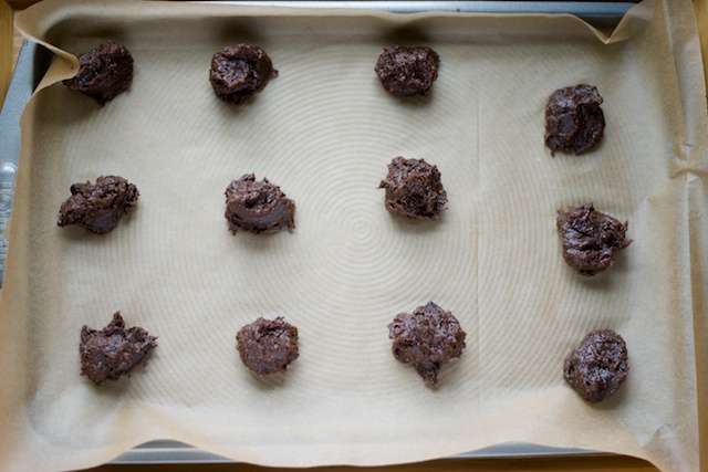 Mint Chocolate Chip Cookies (Paleo Cookie Recipe)