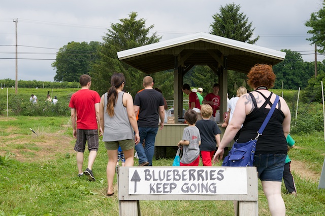 Chilled Blueberry-Rosemary Soup Recipe