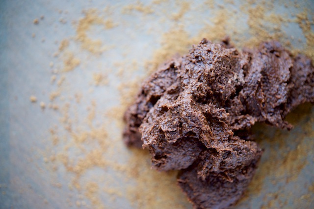 Basler Brusnli (Chocolate-Almond Spice Cookies) Recipe (paleo, primal, gluten-free)