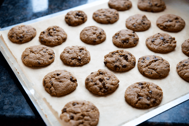 Chocolate Chip Almond Butter Cookies Recipe [paleo, primal, dessert]