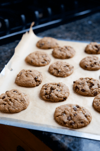 Chocolate Chip Almond Butter Cookies Recipe [paleo, primal, dessert]